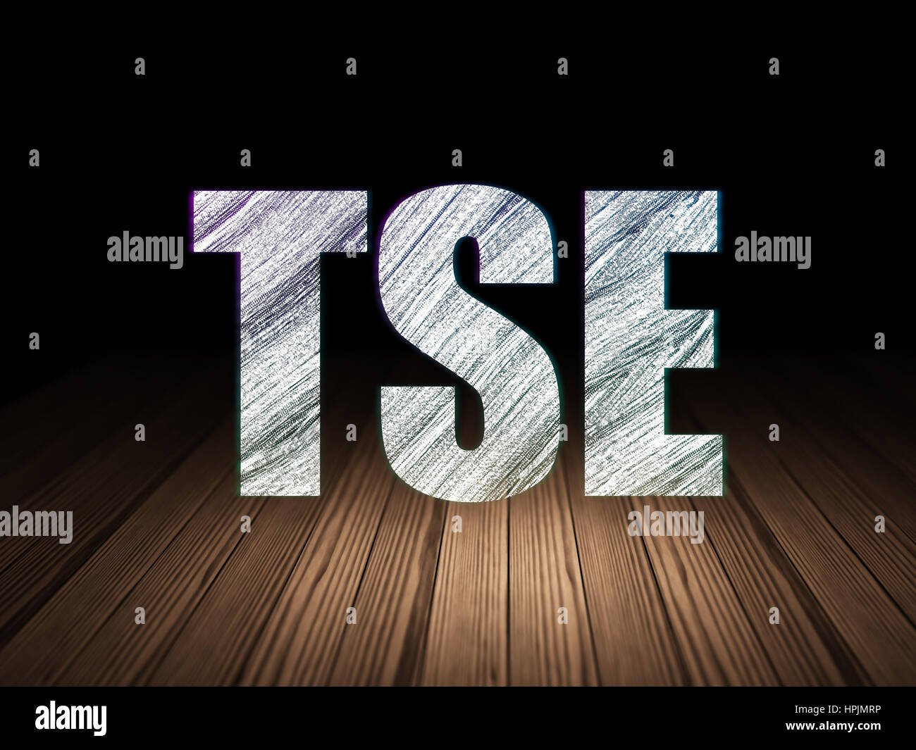 🇯🇵 Japan’s Market Titan: Inside the Tokyo Stock Exchange (TSE) in 2026